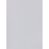 Trueliving_Centuryply_FROSTY WHITE_Design Code: 111 MATT_SIZE:2440 MM X 1220 MM  THICKNESS: 1 MM